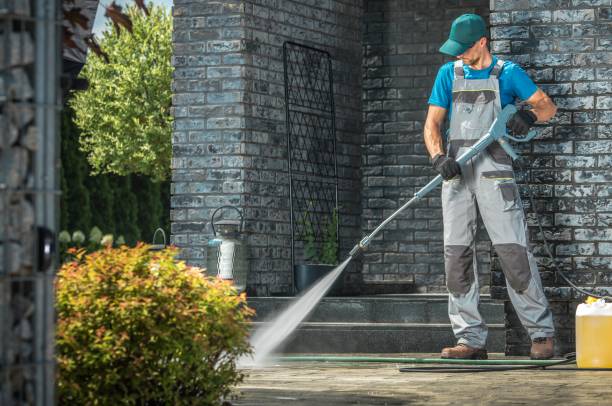 Best Solar Panel Cleaning  in Key Vista, FL